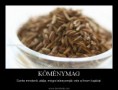 /album/fenykepgaleria/komenymag-jpg/